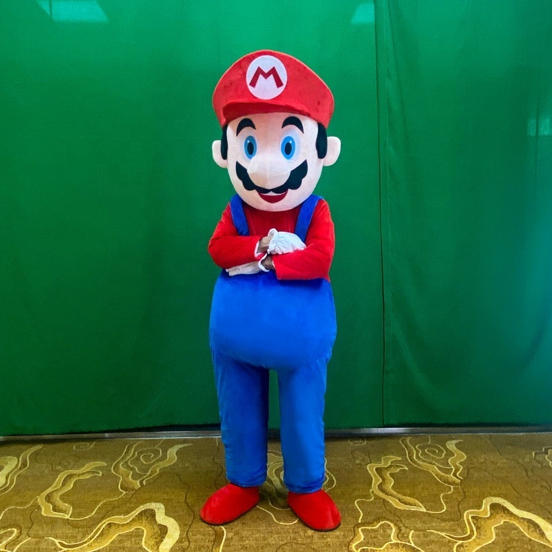 Very Cheap Mario Character Mascot Costumes For Adults Under 100 Dollars