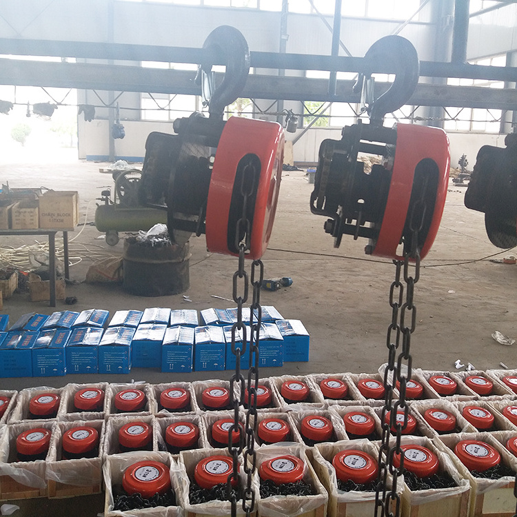 Wholesale Best Price Pulling Wireless Remote Control 1 Ton Wire Rope Electric Motor Chain Hoist Trolleys With Cable