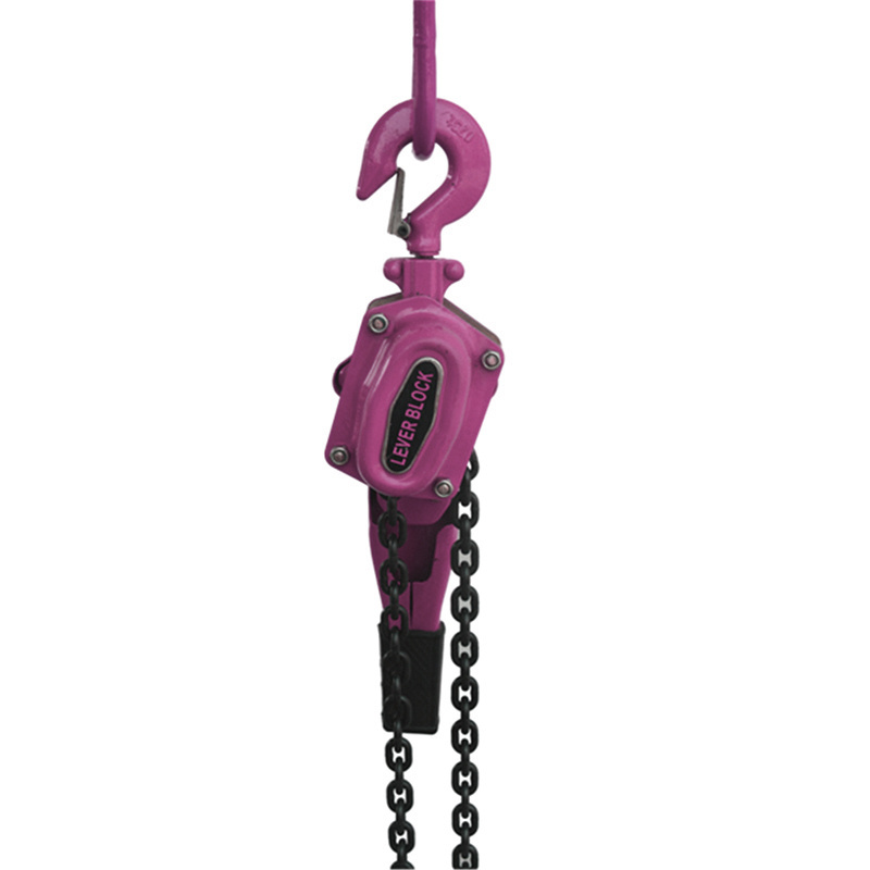 Heavy Duty Lifting Come Along Manual Chain Lever Hoist For Lifting Hand Pulling Lever Block