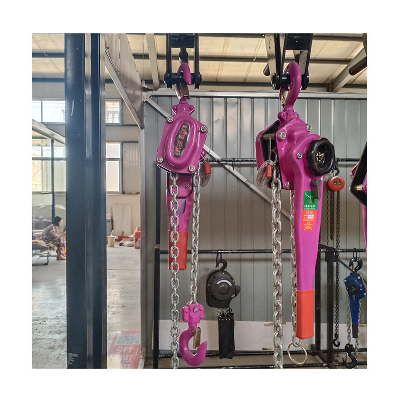 Heavy Duty Lifting Come Along Manual Chain Lever Hoist For Lifting Hand Pulling Lever Block