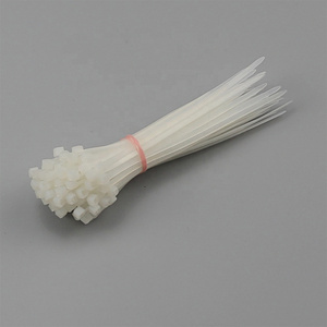 White Self-locking Pa66 Nylon Plastic Flexible Conduit Cable Tie