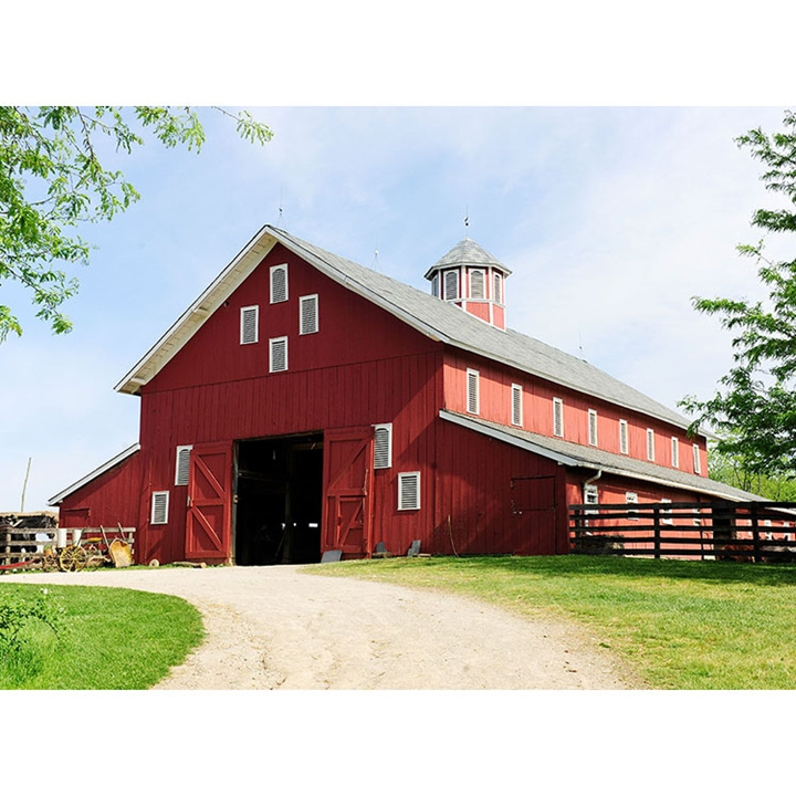 Design large modern prefab steel structure cow poultry shed barns