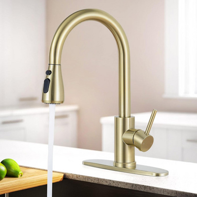 brushed Gold Kitchen Faucet with Pull Down Sprayer, Single Handle RV Kitchen Sink Faucet with Pull Out Sprayer