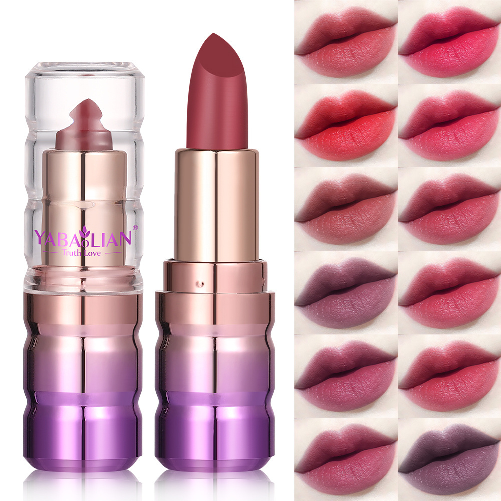 Custom Logo Square Tube Vegan Residue Free Durable Waterproof Makeup Private Label Matte Lipstick