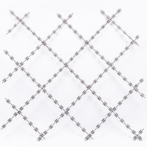 Hot Galvanized Wire Welded Mesh  fence net  Razor Welded Wire Mesh Factory