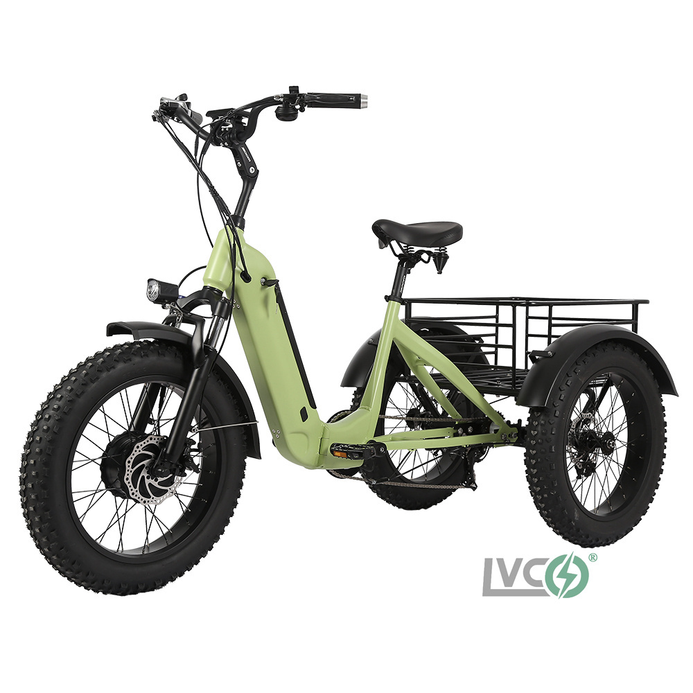 lvco folding electric 48v 350w rear wheel hub motor fat tire 20 inch tricycles with lithium battery fatbike