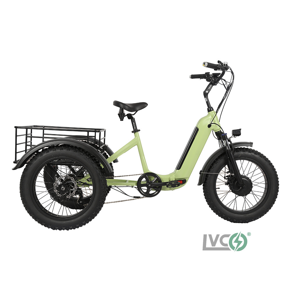 lvco folding electric 48v 350w rear wheel hub motor fat tire 20 inch tricycles with lithium battery fatbike