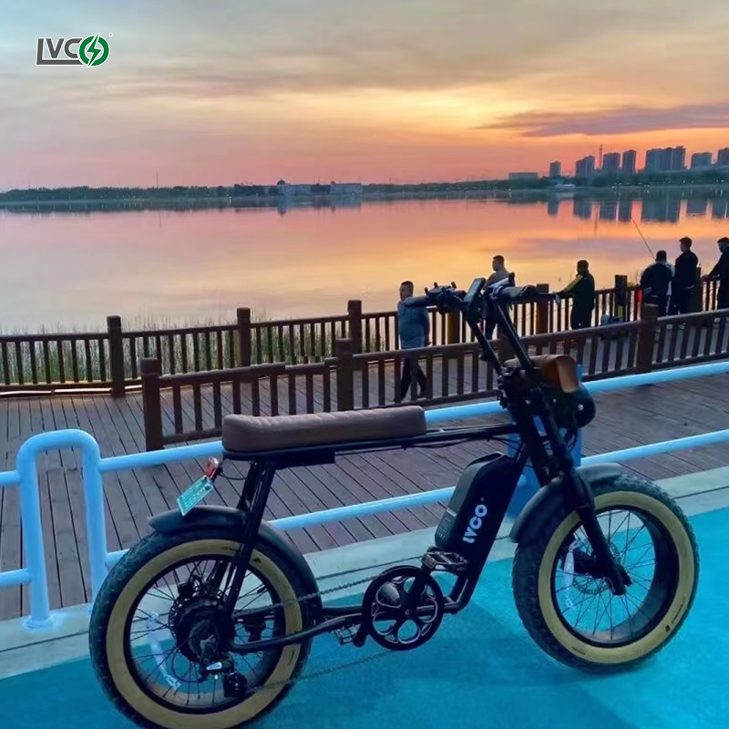 Bafang 500w ebike fat tire  mountain fastest electric bike adult step through battery e bikes mountain electric fat tire bike