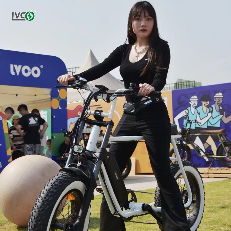 LVCO off road vintage electric bike mtb in china bicycle,lithium battery 250w electric city bike