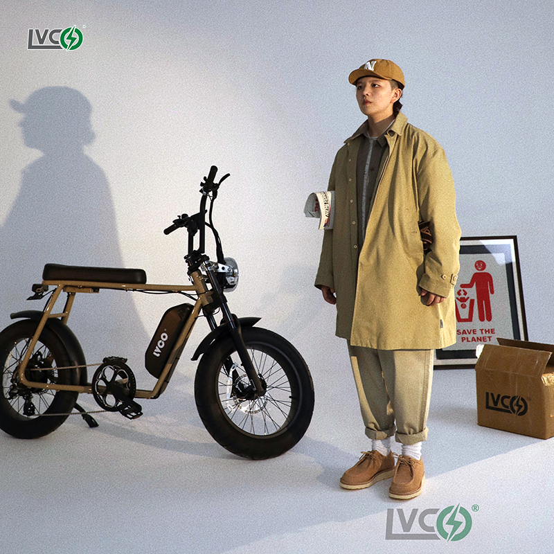 LVCO 2 person italian electric bicycle 250w fat tire beach cruiser e bike bicycle electric bike