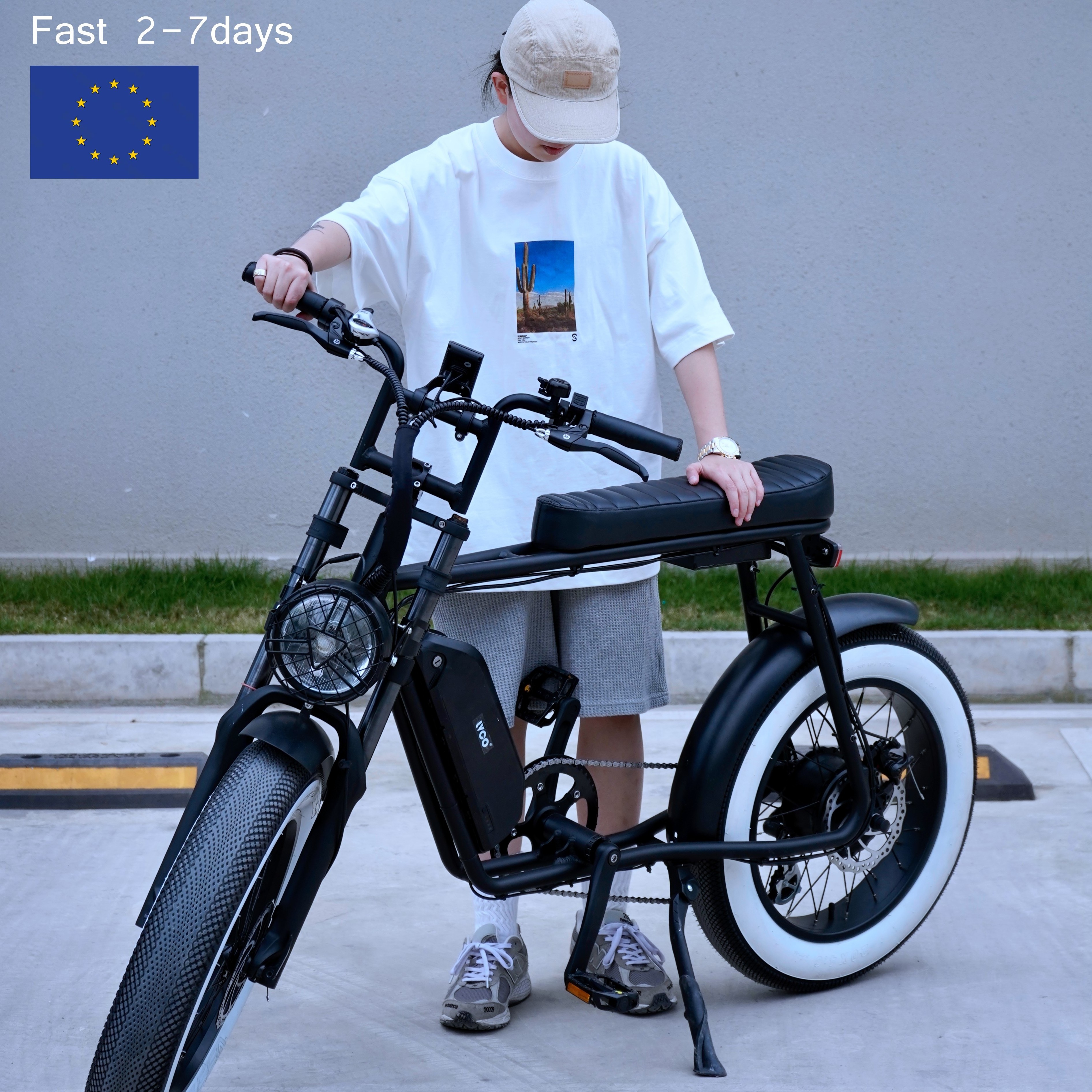 LVCO EU warehouse fast delivery Hot Selling City electric Bike 250W Classic Retro 500w 1000W Adults Electric Bicycles fat tire