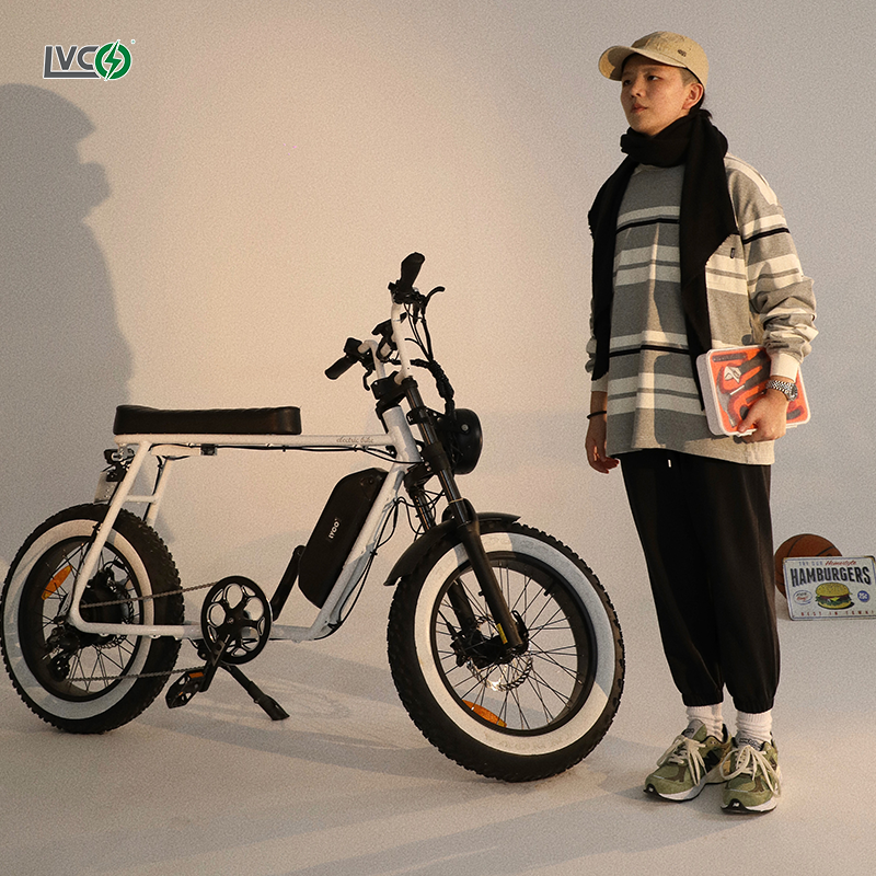 LVCO battery removable off road electric bicycle bike a todo terreno electric fat bike