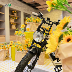 LVCO 2 person italian electric bicycle 250w fat tire beach cruiser e bike bicycle electric bike