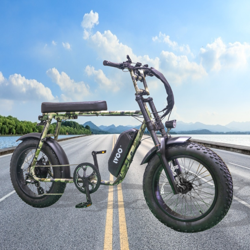 LVCO ebike mountain fat tire bicycle electric bike electrica mtb ebike for sale e bike electric mountain bike with 20 inch tire