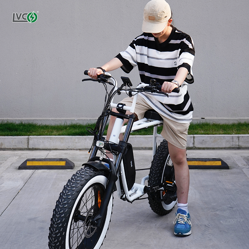 LVCO off road vintage electric bike mtb in china bicycle,lithium battery 250w electric city bike