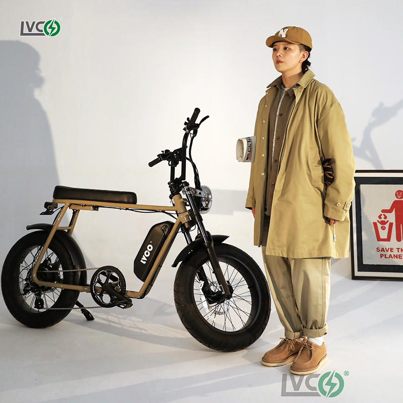 LVCO 2 person italian electric bicycle 250w fat tire beach cruiser e bike bicycle electric bike