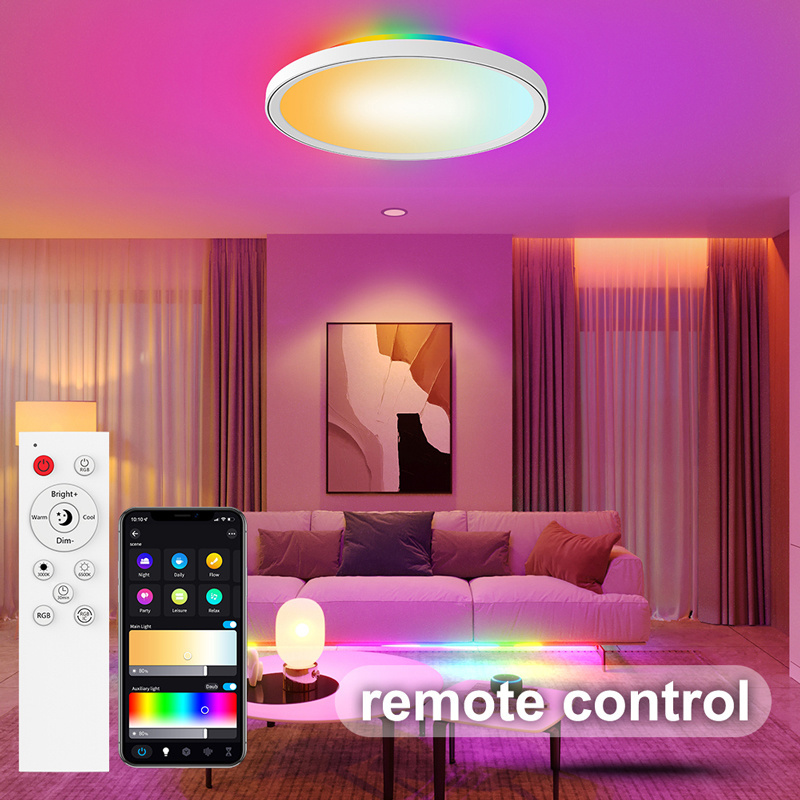 30W 48W wifi Dual mode RGB+CCT smart ceiling light with remote Surface mounted round Led bathroom ceiling light