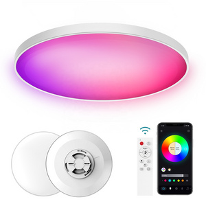 30W 48W wifi Dual mode RGB+CCT smart ceiling light with remote Surface mounted round Led bathroom ceiling light