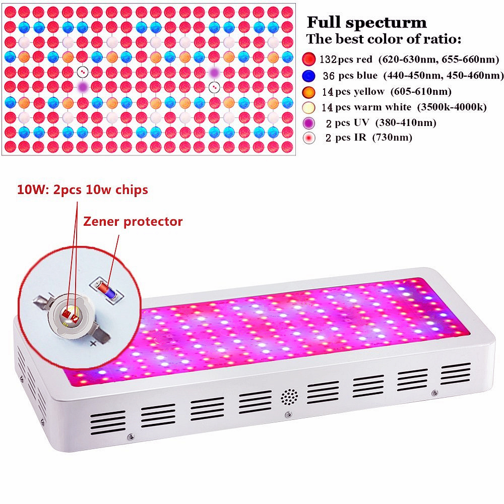 2000W DIY Led Full Spectrum Double Chip Grow Light for Greenhouse Fruits Plant