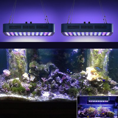 165W Marine Coral plant aquarium led lighting 55*3w New full spectrum Led Aquarium Light for coral fish reef used