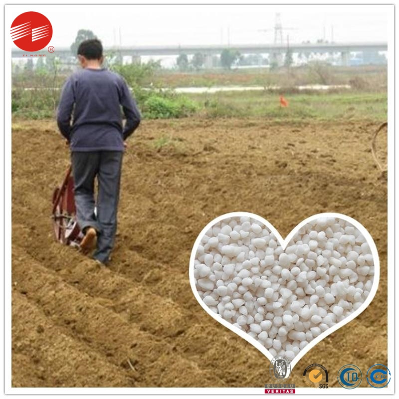 Granular Phosphate Fertilizer MAP Fertilizer 11-44-0 Monoammonium Phosphate