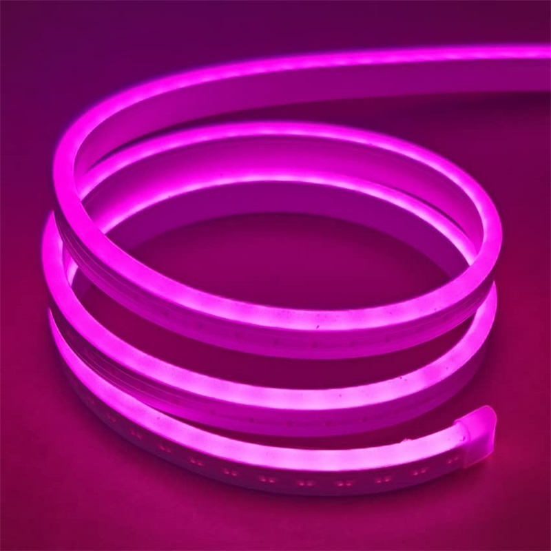 Factory Price Neon Lights Strip 5 Meter per Roll IP65 Waterproof Outdoor 12v 2835 LED Neon Rope Light Flexible LED Neon Light