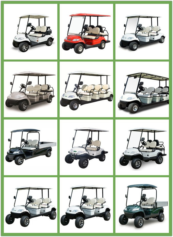 Lvtong One Person Icon Gas Cheap Club Car 6 Seater Electric Golf Cart 4 Seater Electric