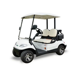 Chinese Manufacturer two seater electric golf car price (LT-A627.2)