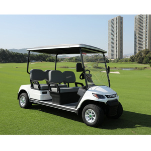 LVTONG New 2 Seat Sightseeing Bus Hunting Club Golf Cart Electric Golf Buggy