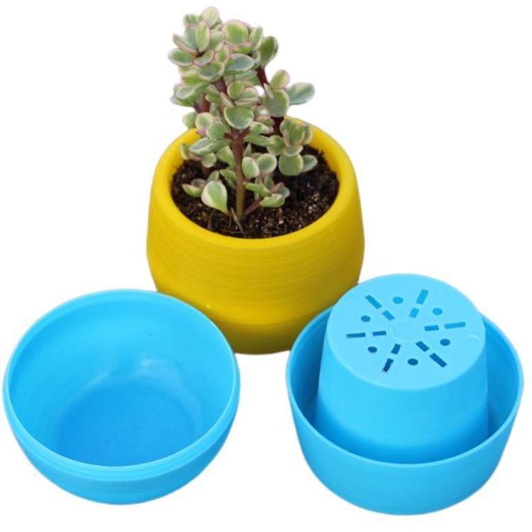 Mini Flower Pot & Planters Colourful Round Plastic Minimalist Resin Plastic Pots for Plants Macetas Plasticas 6 Colors 100pcs