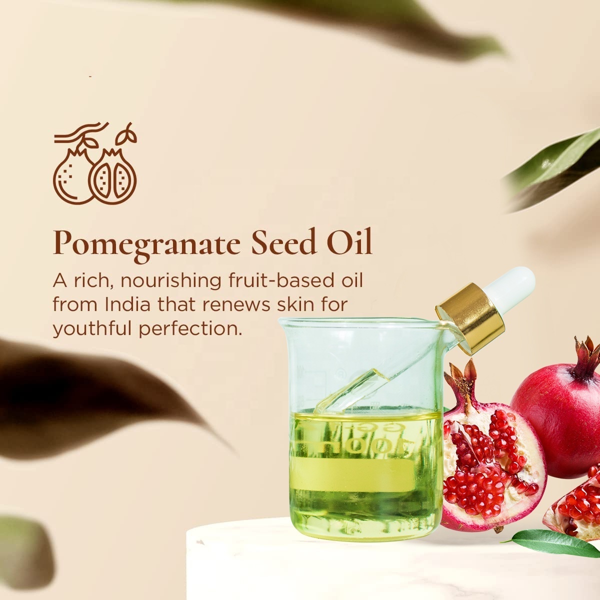 Organic Pomegranate Seed Oil For Rejuvenates Hair And Gua Sha Oil Pomegranate Seed Oil Softgel