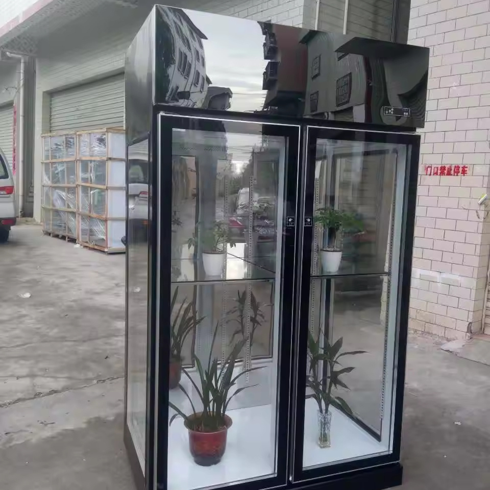 Commercial Flower Display Cooler Glass Door Chiller Flower Shop Fridge