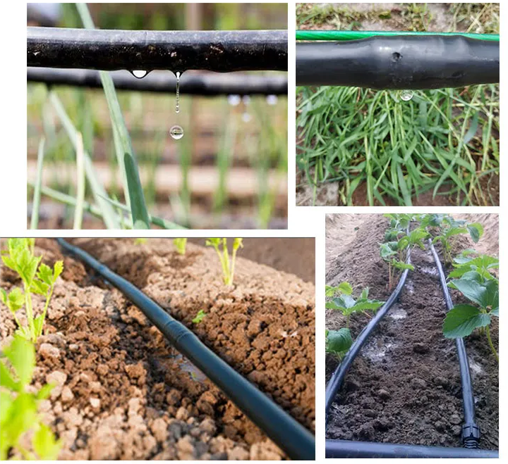 Drip irrigation pipe with cylindrical drip pipe embedded inside orchard fruit tree irrigation PE pipe drip irrigation system