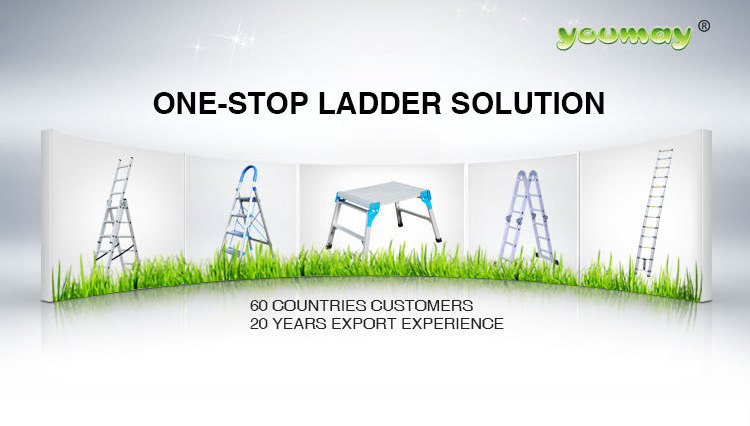 EN131 Factory Supply Frp Ladder 2X10 Steps Fiberglass Telescopic 2 Sections Ladder