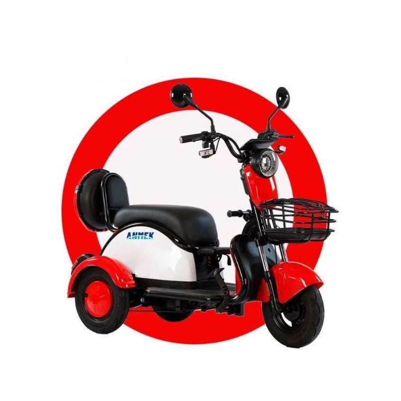 Tricycle Electric 3 Wheel With Motorcycle Passenger Cargo Motor For Bicycle Adult Wheels Kids Front Tuk Gear Cabin 2 Tricycles