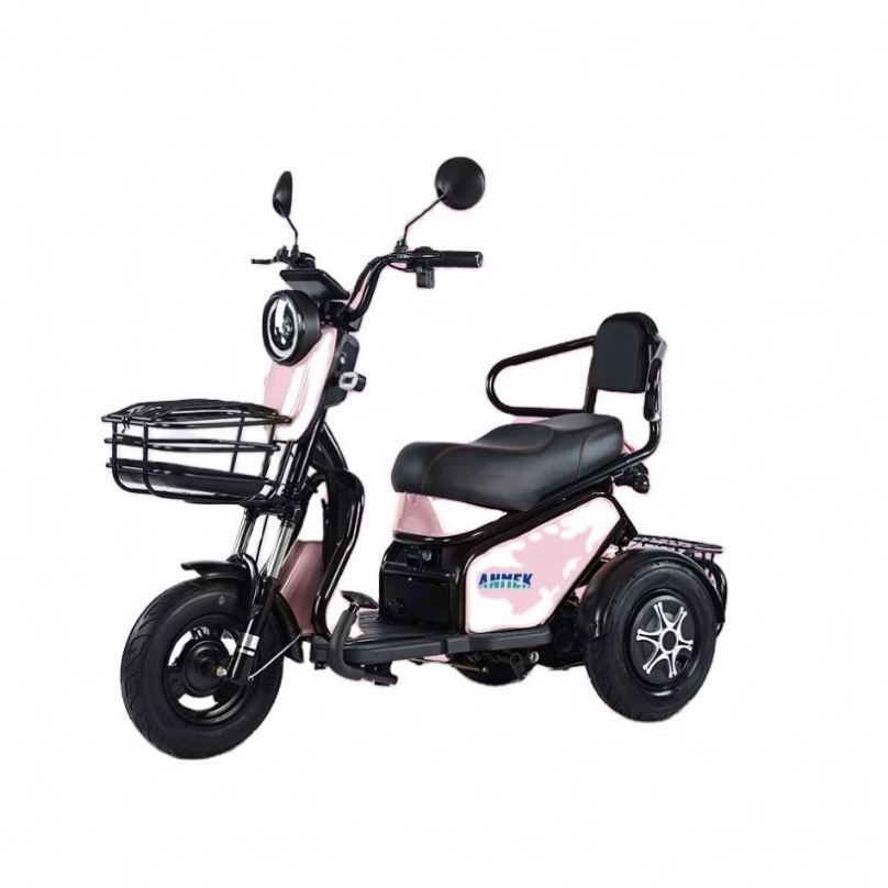 Tricycle Electrique Baby Electric Engine Cargo Rear Carrier Tyre 375-12 Gasoline Car Verified Foldable Firmes Ss De 3 Tricycles