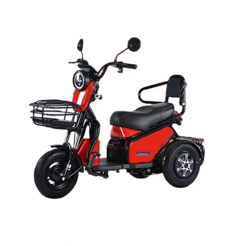 Tricycle Electrique Baby Electric Engine Cargo Rear Carrier Tyre 375-12 Gasoline Car Verified Foldable Firmes Ss De 3 Tricycles