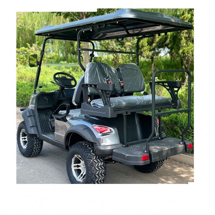 Electric Batteries Car Food 60V 3 Seater Single Wholesale Prices 6 Passenger DC Motor for Club Cables Pedal Golf-Cart Golf Cart