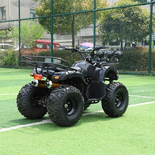 Quad Tires Trailer Tire 8 Farm Gun Holder Motorbike Plastic Body Kit Rotavator Shaft Drive Steel Rims 12 Inch 14