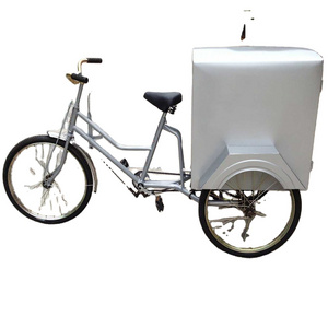 Exquisite Cabin Electric Pedicab In Canada Frame Exquisite Cabin Electric Pedicab In Canada Frame