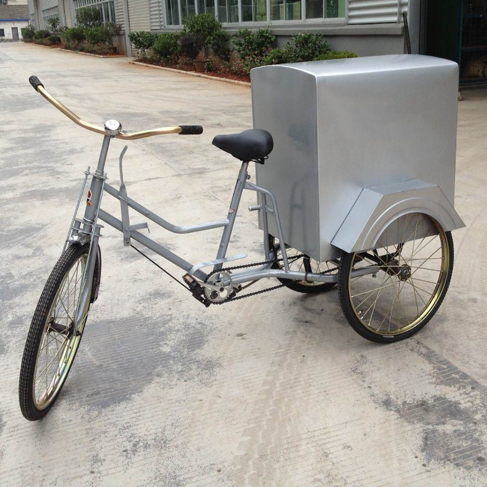 Exquisite Cabin Electric Pedicab In Canada Frame Exquisite Cabin Electric Pedicab In Canada Frame