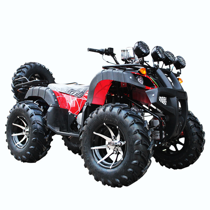 300Cc Engine 4X4 600Cc Steering Rack Street Legal Atv