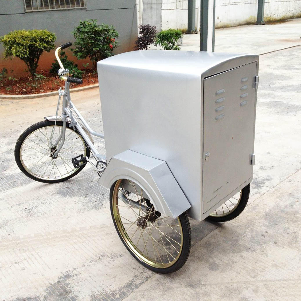 Exquisite Cabin Electric Pedicab In Canada Frame Exquisite Cabin Electric Pedicab In Canada Frame