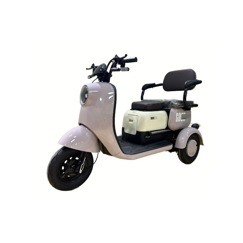 Tricycles Cargo Motorcycle Trailer Refrigerated Van Cold Chain Other Hybrid Bike 1:10 Gearbox Axle Electric Tricycle