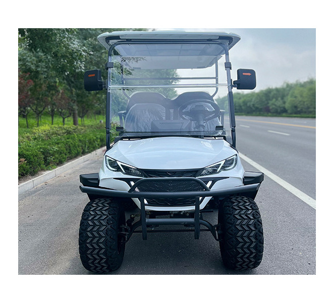 Electric with Club Seat Powered Lithium Carts for Push Ball 3 Wheel Bag Wheels Canopy Cover Deep Cycle Batteries 8 Golf Cart