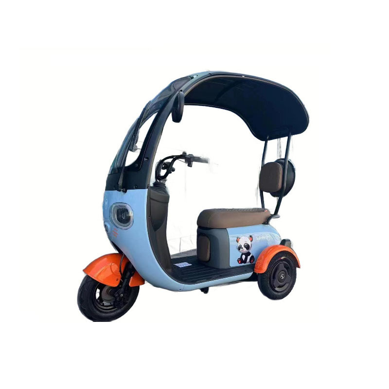 Wheel 3 Bike For Tricycles Kids 48V 1000W Rickshaw Motor Kits Scooter 2 Seats Three Danish Cargo Price Of In Electric Tricycle