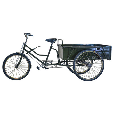 5 seater pedicab for sale 2025