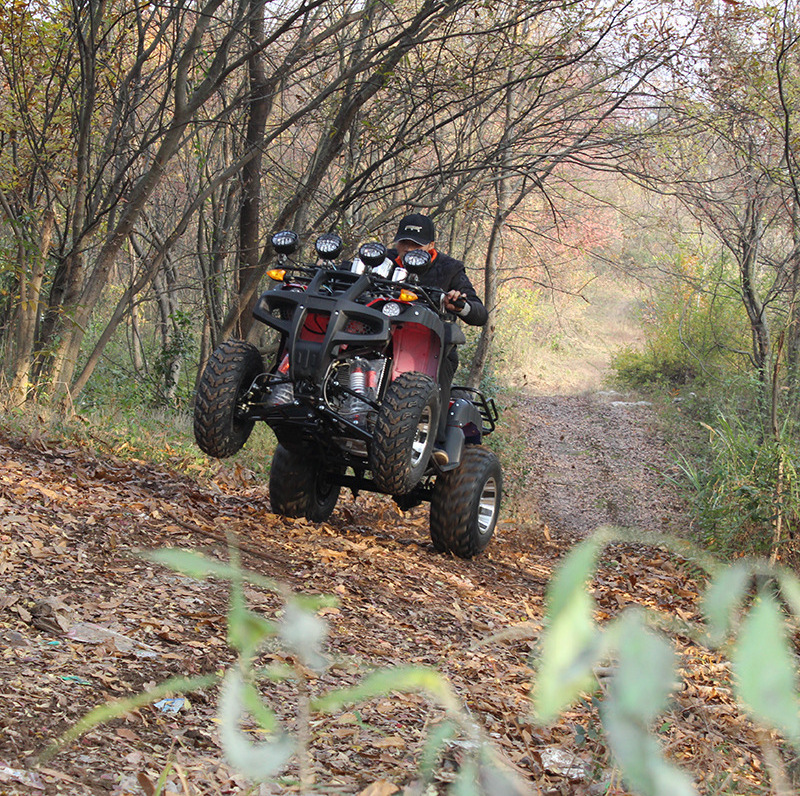 300Cc Engine 4X4 600Cc Steering Rack Street Legal Atv