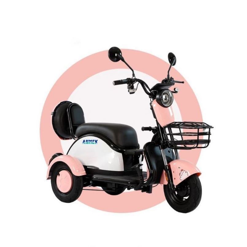 Tricycle Electric 3 Wheel With Motorcycle Passenger Cargo Motor For Bicycle Adult Wheels Kids Front Tuk Gear Cabin 2 Tricycles