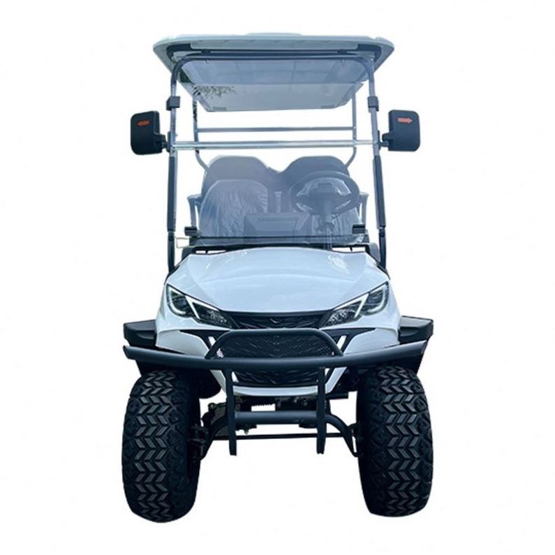 Electric with Club Seat Powered Lithium Carts for Push Ball 3 Wheel Bag Wheels Canopy Cover Deep Cycle Batteries 8 Golf Cart